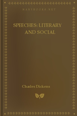 Speeches: Literary and Social